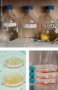 Laboretiketten für Flaschen, Petrischalen und Röhrchen
