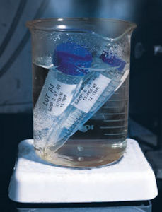 Laboretiketten für Kryo-Röhrchen und Ampullen