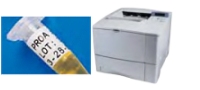 Laboretiketten für Eppendorfgefäße und PCR-Röhrchen