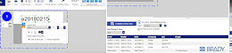 Variable Daten mit Brady Workstation und Excel importieren