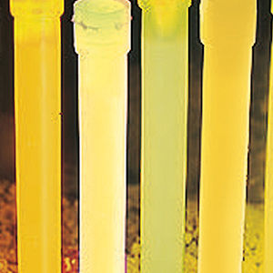 Langnachleuchtende Leuchtst&auml;be